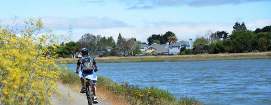 Bike Riding on the Bay Trail