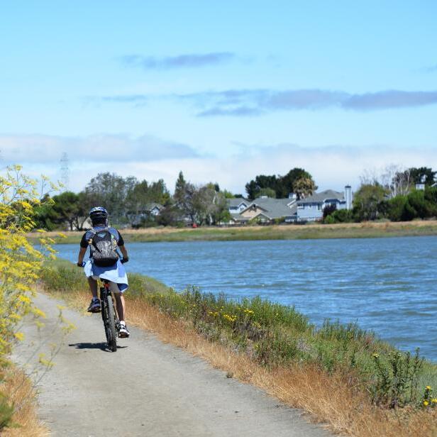 Bike Riding on the Bay Trail - logo